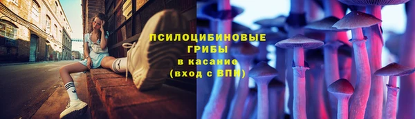 бутират Арсеньев